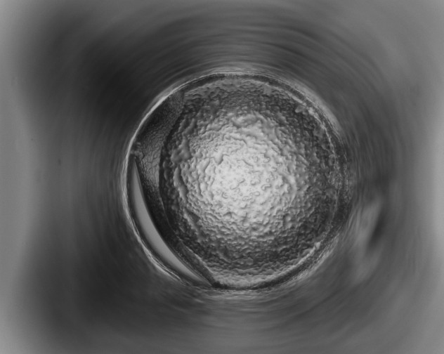 X0000087680845200705111259