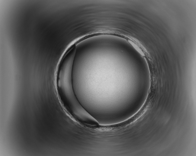 X0000087680846200705111259