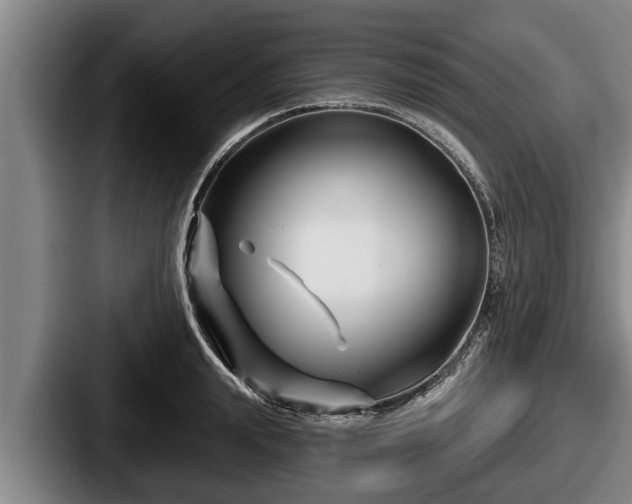 X0000087680847200705111259