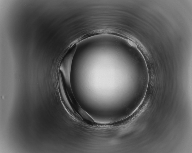 X0000087680849200705111259