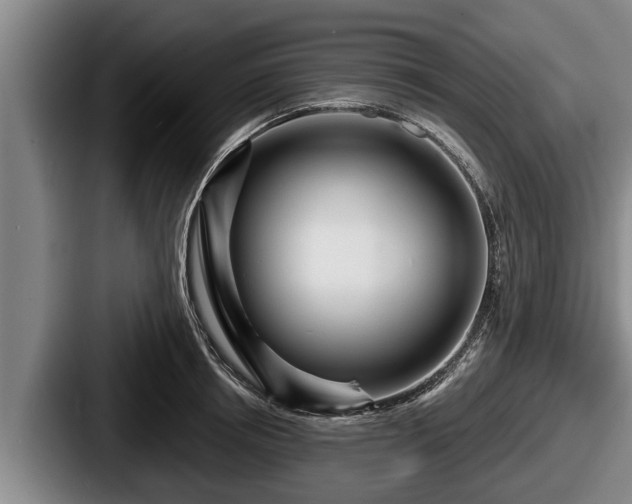X0000087680850200705111259