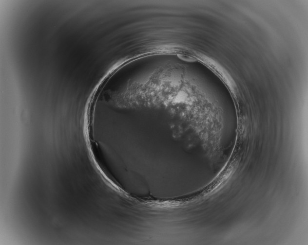 X0000087680851200705111259