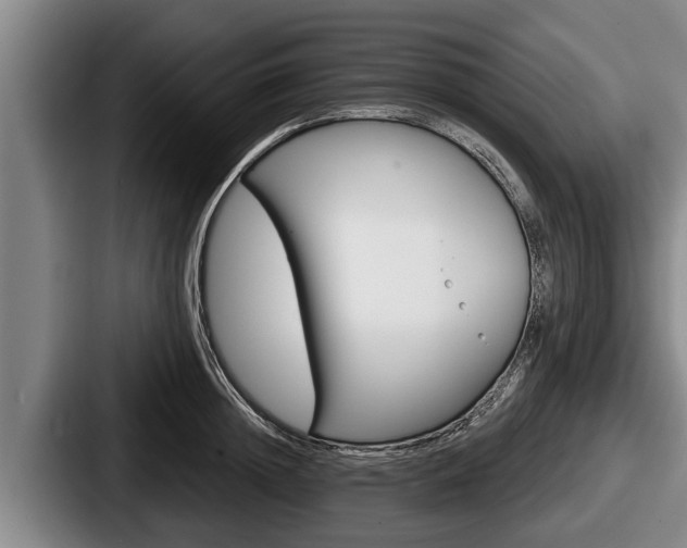X0000087680852200705111259