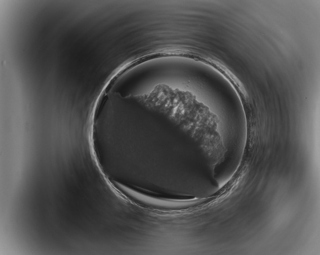 X0000087680853200705111259