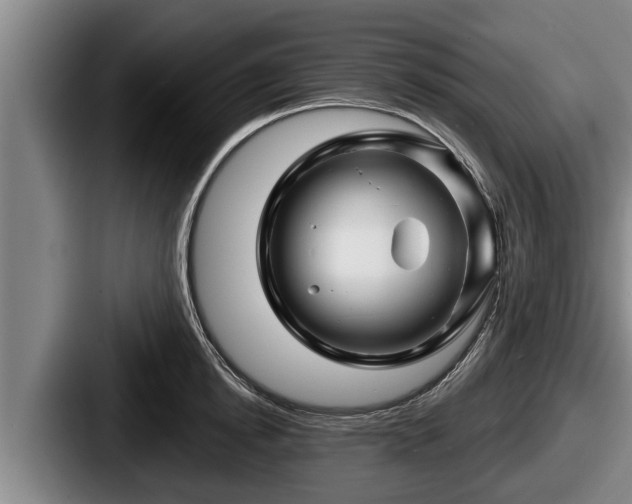 X0000087680854200705111259