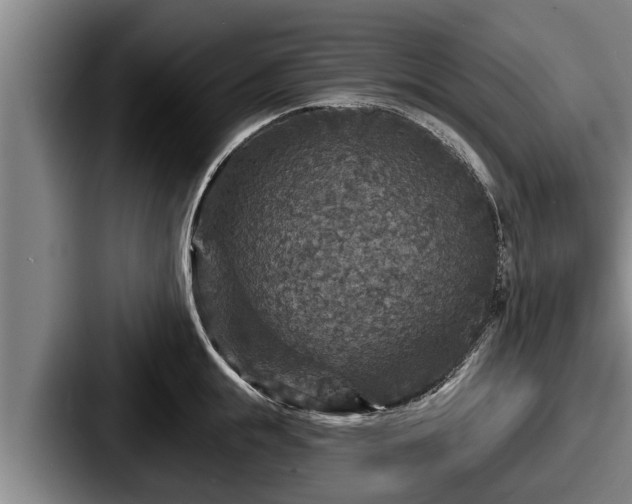 X0000087680855200705111259
