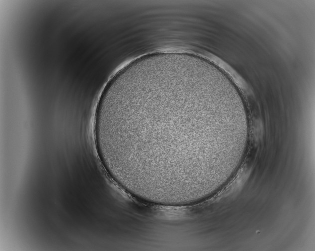 X0000087680856200705111259
