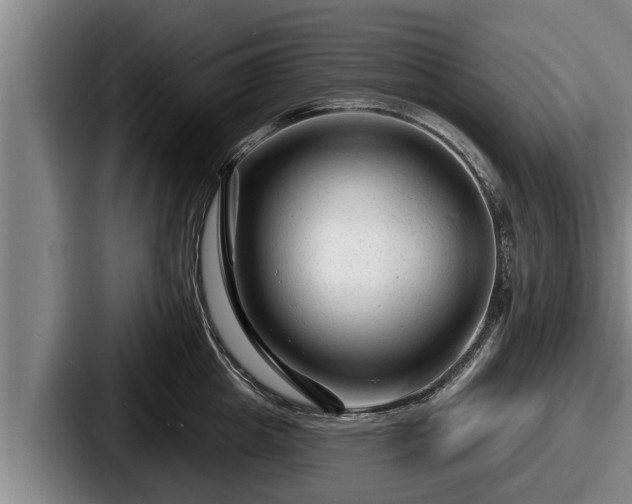 X0000087680857200705111259