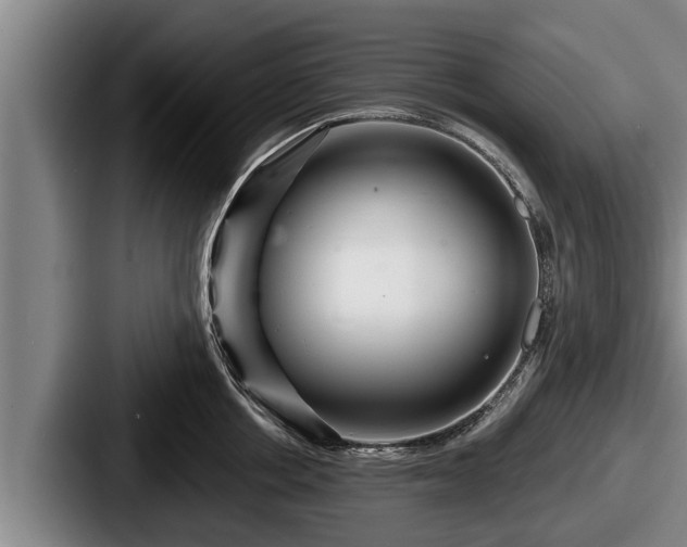 X0000087680858200705111259