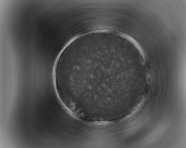 X0000087680859200705111259