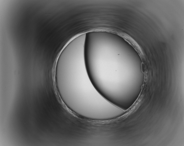X0000087680860200705111259