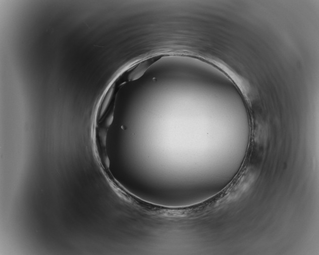 X0000087680861200705111259