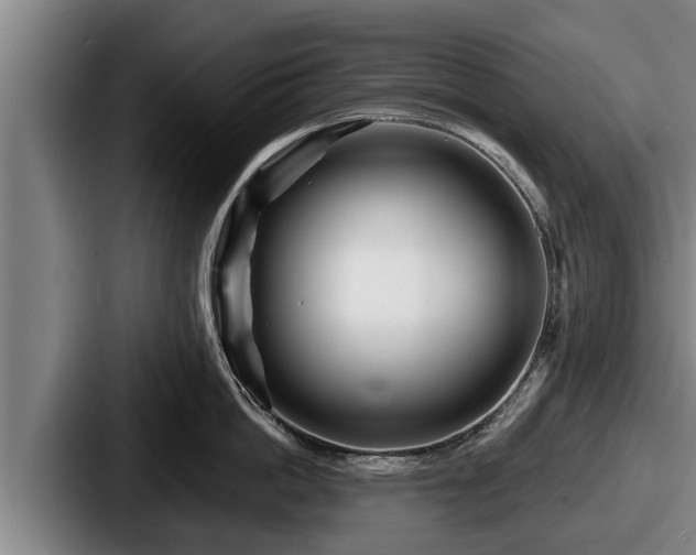 X0000087680862200705111259