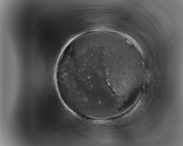 X0000087680863200705111259