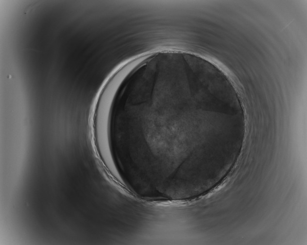 X0000087680864200705111259