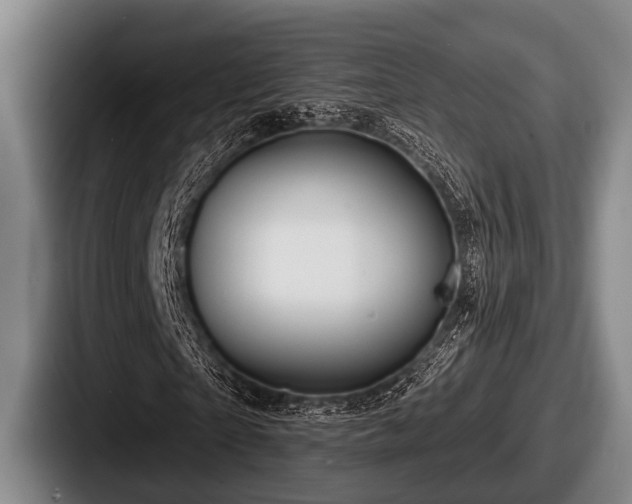 X0000087680865200705111258