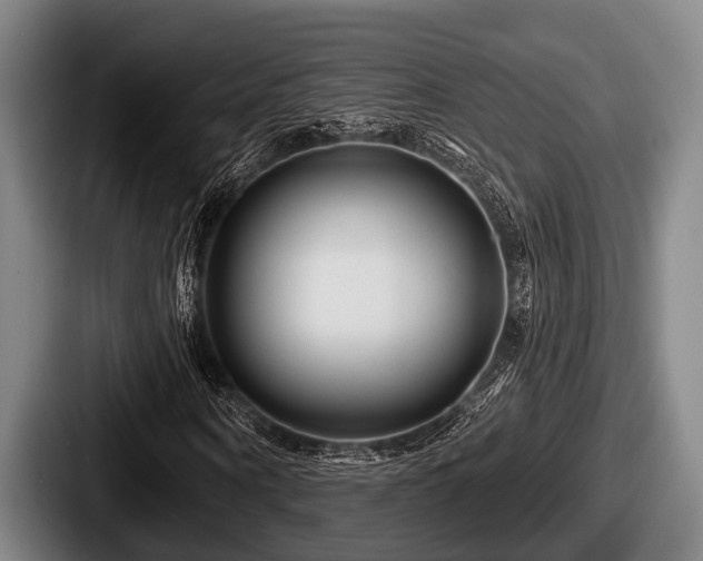 X0000087680866200705111258