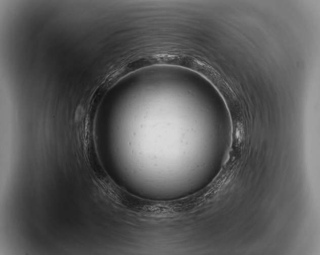 X0000087680867200705111258