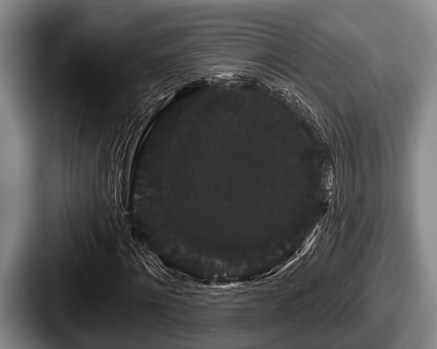 X0000087680868200705111258