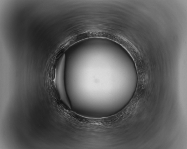 X0000087680870200705111258