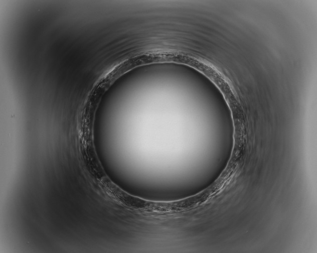 X0000087680871200705111258