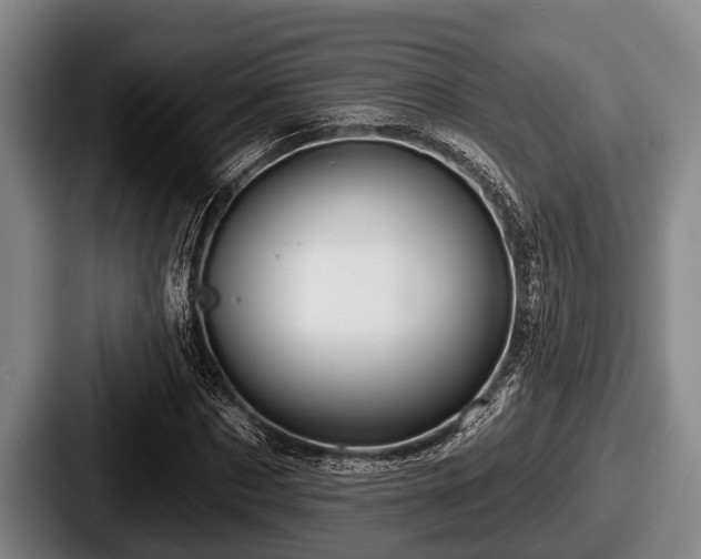 X0000087680873200705111258