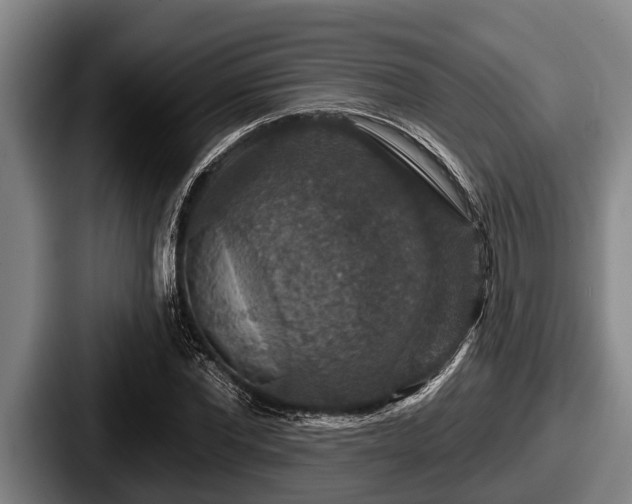 X0000087680877200705111258
