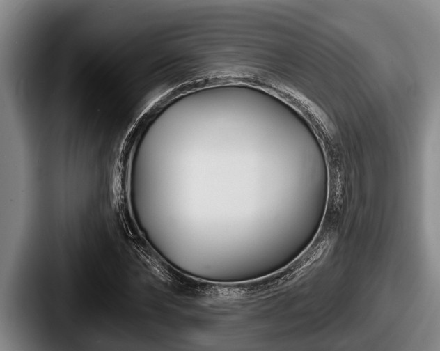 X0000087680878200705111258
