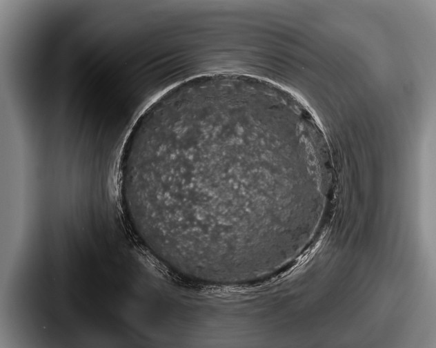 X0000087680879200705111258