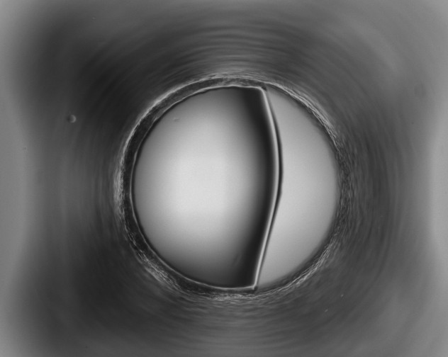 X0000087680880200705111258