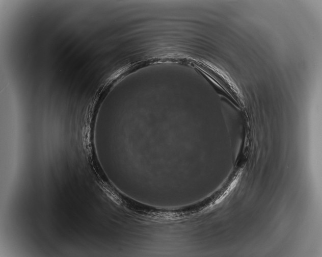 X0000087680881200705111258