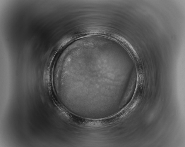 X0000087680882200705111258