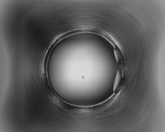 X0000087680883200705111258