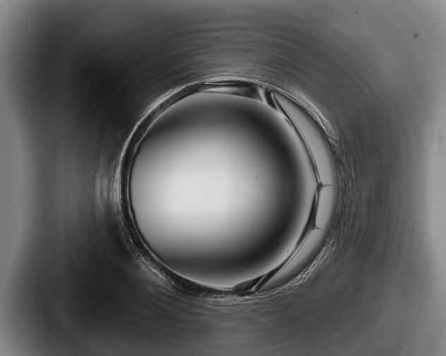 X0000087680884200705111258