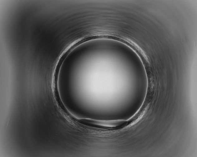 X0000087680885200705111258