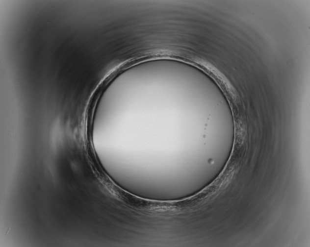 X0000087680886200705111258