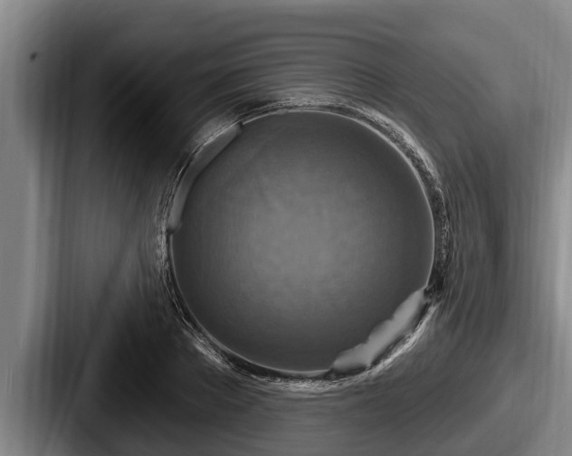 X0000087680889200705111258