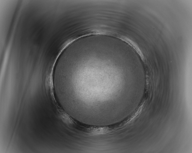 X0000087680891200705111258