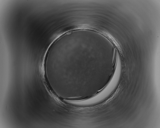 X0000087680892200705111258