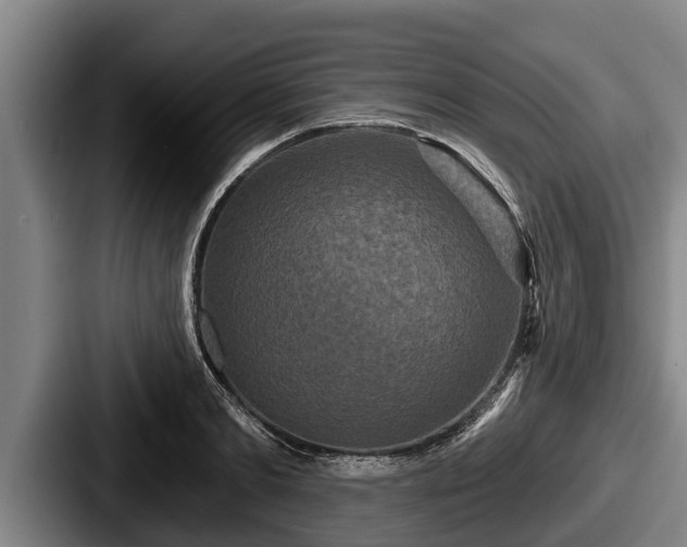 X0000087680893200705111258