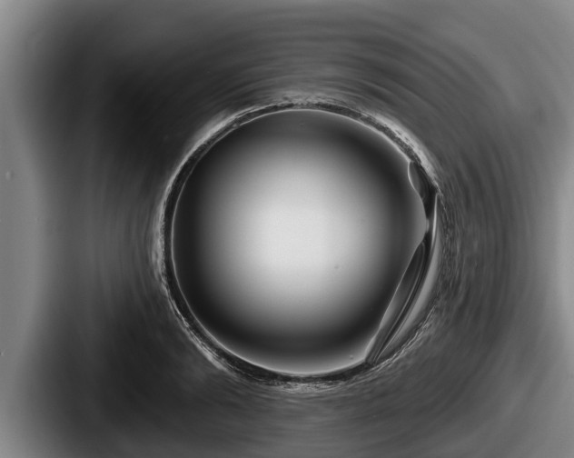 X0000087680894200705111258