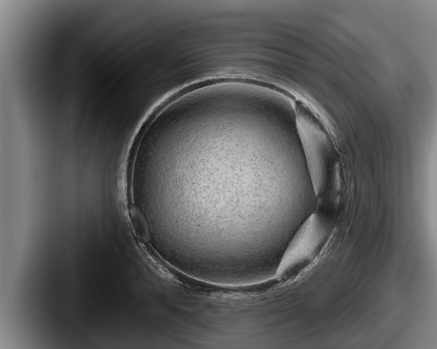 X0000087680896200705111258