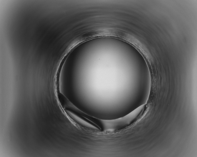X0000087680898200705111258