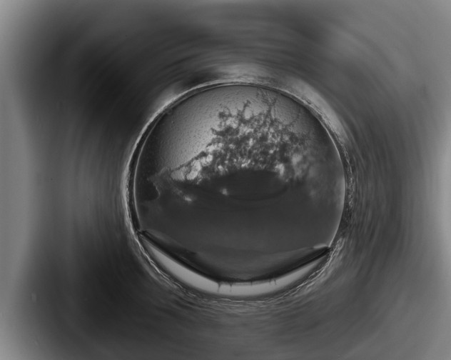 X0000087680899200705111258