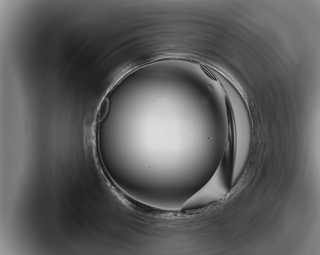 X0000087680906200705111258