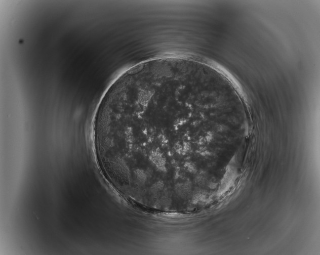 X0000087680907200705111258