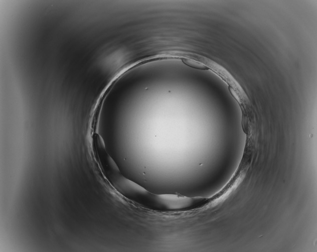 X0000087680908200705111258