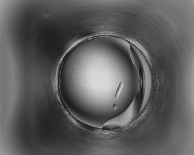 X0000087680910200705111258