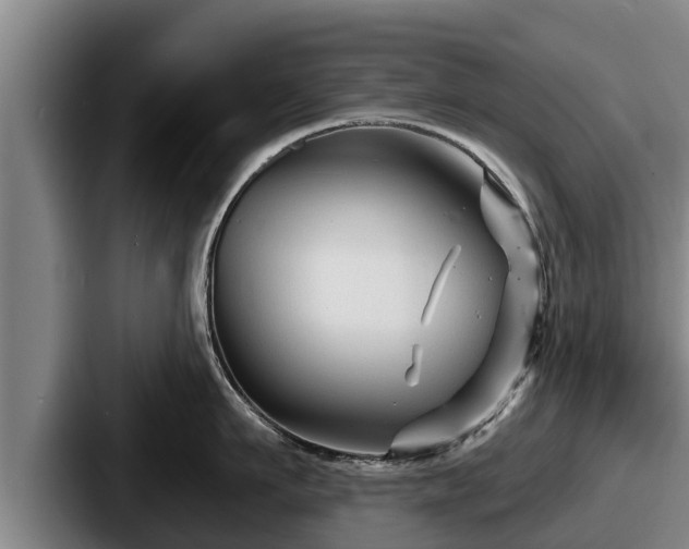 X0000087680911200705111258