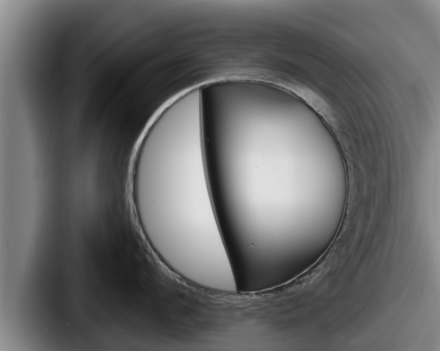 X0000087680912200705111258